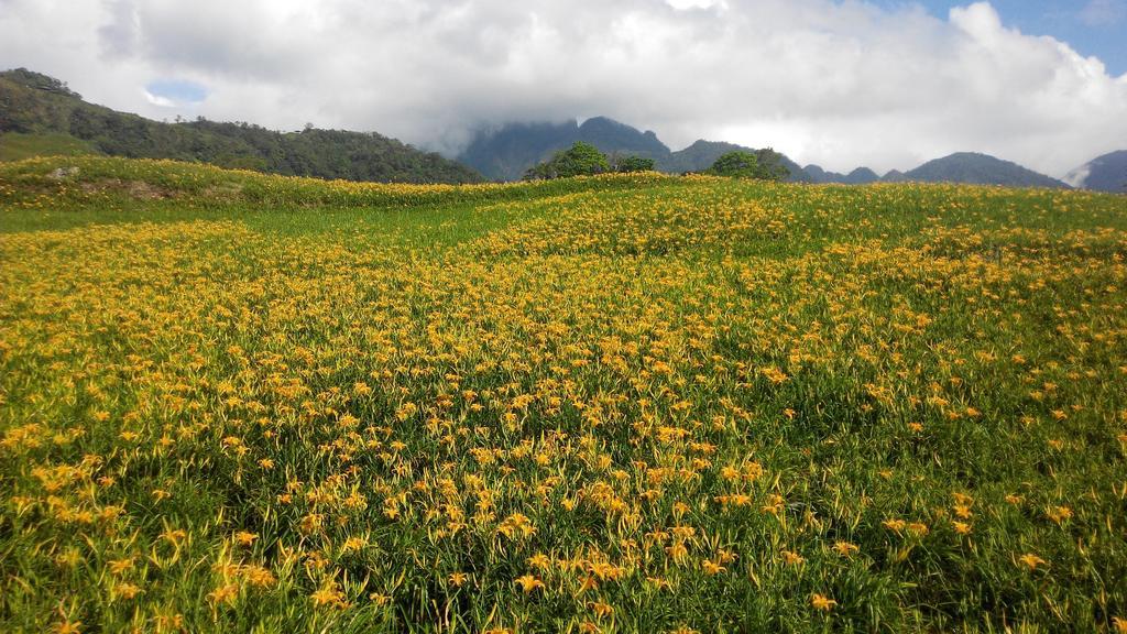 3520 Homestay Taitung Екстер'єр фото